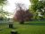 Invalidenfriedhof